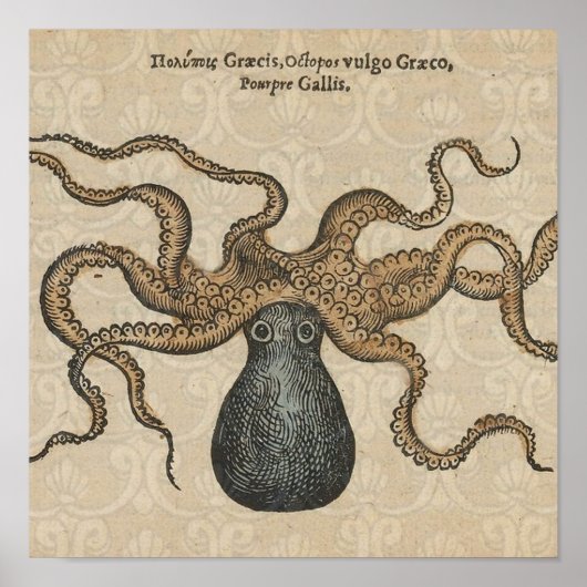 Octopus Kraken Vintage Illustratie Poster (Voorkant)