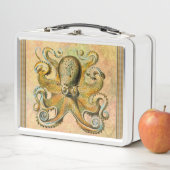 Octopus Lunch Box (In situ)