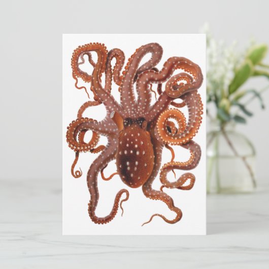 Octopus Macropus, Antieke Mariene Waterdieren (Staand voorkant)