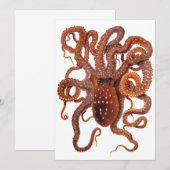 Octopus Macropus, Antieke Mariene Waterdieren (Voorkant / Achterkant)