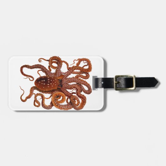 Octopus Macropus Atlantic White Spotus Octopus Bagagelabel (Voorkant horizontaal)