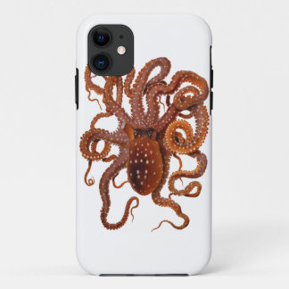 Octopus Macropus Atlantic White Spotus Octopus iPhone 11 Hoesje
