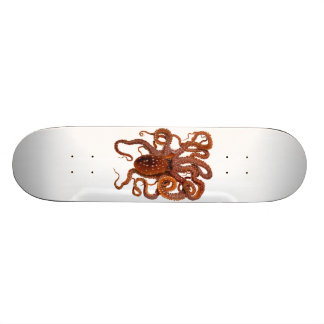 Octopus Macropus Atlantic White Spotus Octopus Persoonlijk Skateboard