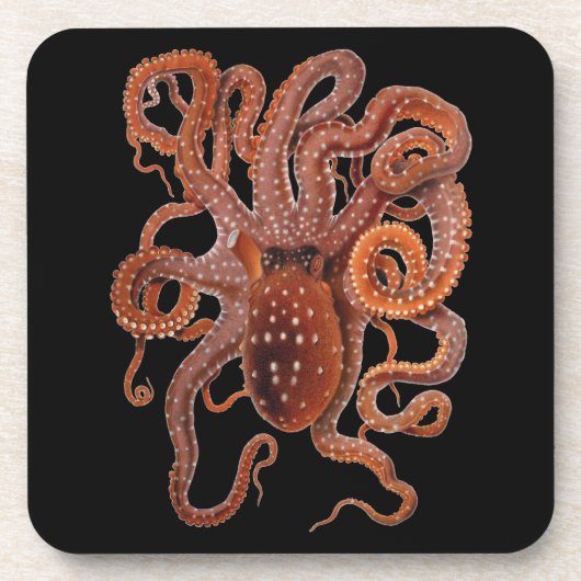  octopus Macropus, zeewaterdieren Bier Onderzetter (Voorkant)
