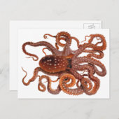 octopus Macropus, zeewaterdieren Briefkaart (Voorkant / Achterkant)