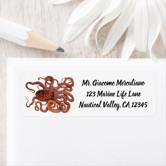  octopus Macropus, zeewaterdieren Etiket (Insitu)