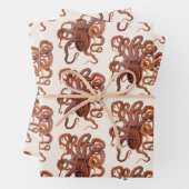  octopus Macropus, zeewaterdieren Inpakpapier Vel (In situ)