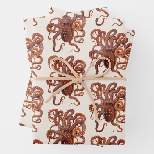  octopus Macropus, zeewaterdieren Inpakpapier Vel (In situ)