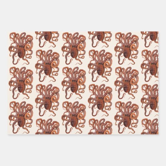  octopus Macropus, zeewaterdieren Inpakpapier Vel (Voorkant)