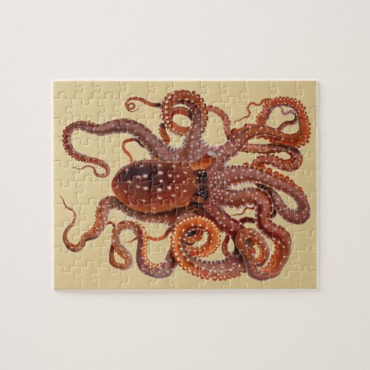  octopus Macropus, zeewaterdieren Legpuzzel (Horizontaal)
