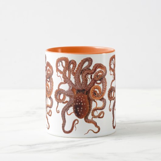 octopus Macropus, zeewaterdieren Mok (Midden)