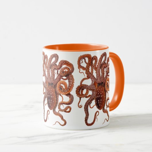 octopus Macropus, zeewaterdieren Mok (Voorkant rechts)