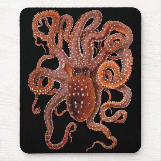  octopus Macropus, zeewaterdieren Muismat (Voorkant)