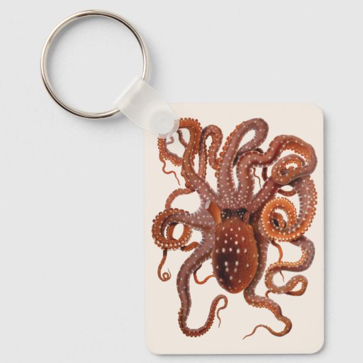  octopus Macropus, zeewaterdieren Sleutelhanger (Voorkant)