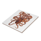  octopus Macropus, zeewaterdieren Tegeltje (Zijkant)