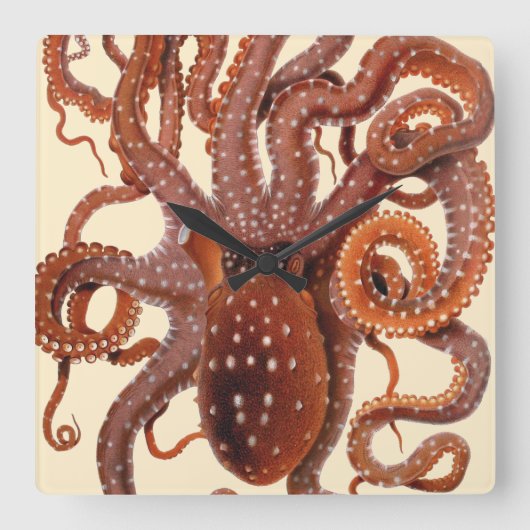  octopus Macropus, zeewaterdieren Vierkante Klok (Voorkant)