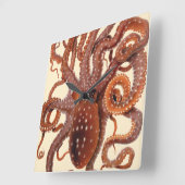  octopus Macropus, zeewaterdieren Vierkante Klok (Hoek)