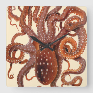 octopus Macropus, zeewaterdieren Vierkante Klok