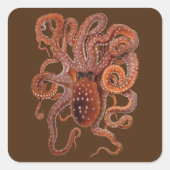 octopus Macropus, zeewaterdieren Vierkante Sticker (Voorkant)