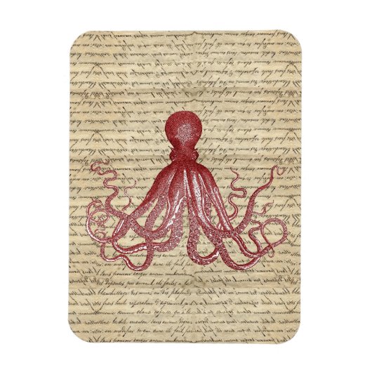  octopus magneet (Verticaal)