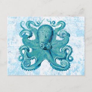 Octopus Marine Life Ocean Animals Beach Life Briefkaart