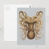 Octopus Marmoratus (blauw) Briefkaart (Voorkant / Achterkant)
