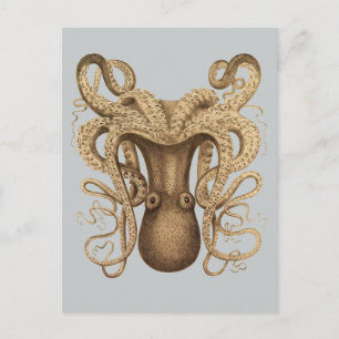 Octopus Marmoratus (blauw) Briefkaart