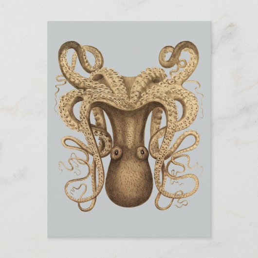 Octopus Marmoratus (blauw) Briefkaart (Voorkant)