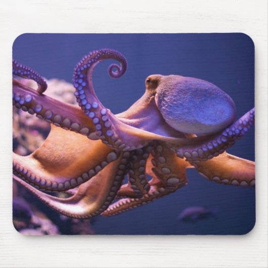 Octopus Mousepad Muismat (Voorkant)