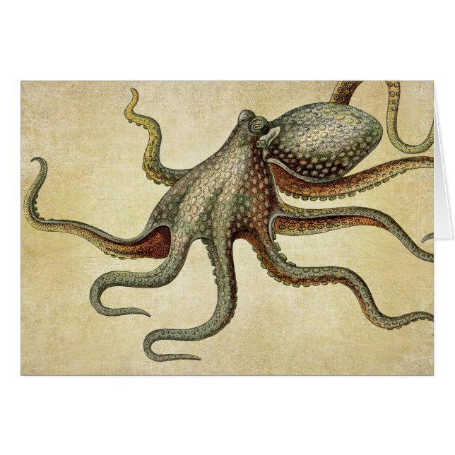  Octopus Nautical Zee Life (Voorkant Horizontaal)