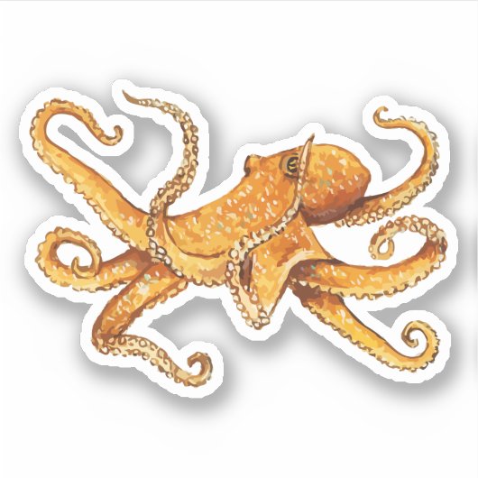 Octopus nautisch ontwerp sticker (Voorkant)