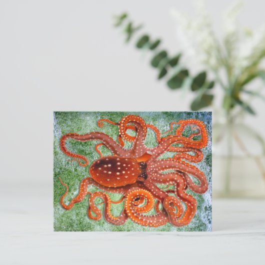Octopus Ocean  Briefkaart (Staand voorkant)