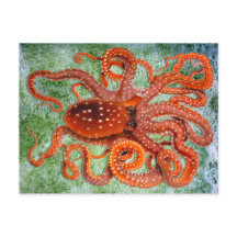 Octopus Ocean 