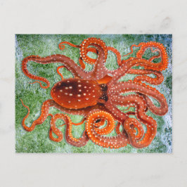 Octopus Ocean  Briefkaart