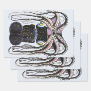 Octopus of Reuzenpijlinktvis, Antieke Dier Zeeleve Inpakpapier Vel