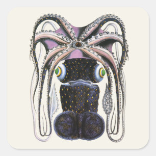 Octopus of Reuzenpijlinktvis, Antieke Dieren uit d Vierkante Sticker