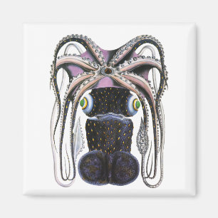 Octopus of Reuzenpijlinktvis, Antieke Dieren uit h Magneet