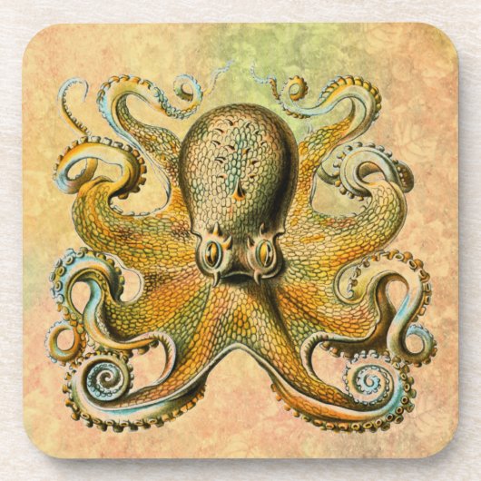 Octopus Onderzetter (Voorkant)