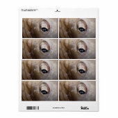 Octopus Oog Etiket (Full Sheet)