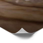 Octopus Oog Poster (Hoek)