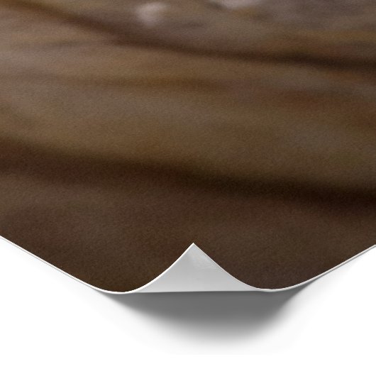 Octopus Oog Poster (Hoek)