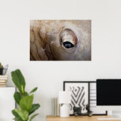 Octopus Oog Poster (Thuiskantoor)