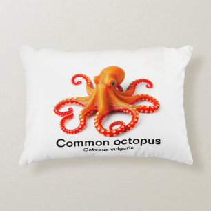 Octopus op een kussen