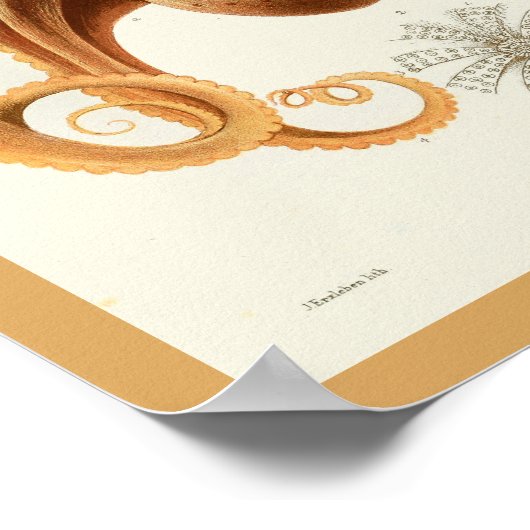 Octopus Oranje Cephalopod Zee Scheppen Kunstafdruk Poster (Hoek)