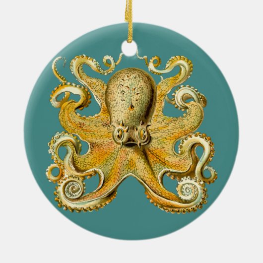 octopus ornament (Achterkant)