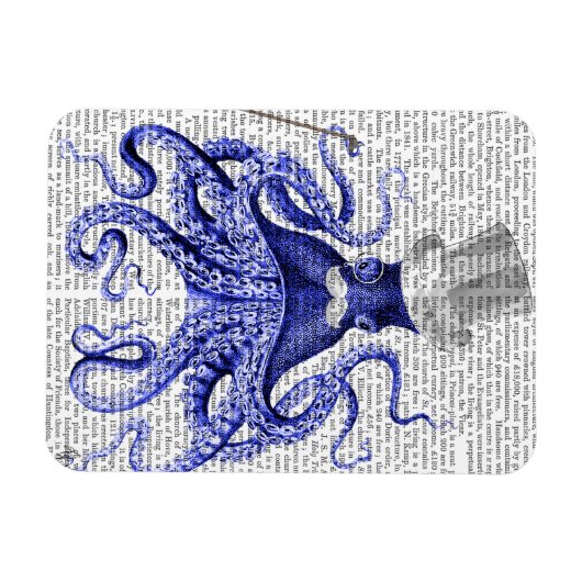 Octopus Over Town Magneet (Horizontaal)