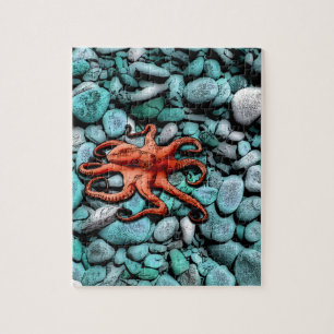 Octopus Pebbles Legpuzzel