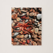 Octopus Pebbles Legpuzzel (Verticaal)