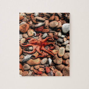 Octopus Pebbles Legpuzzel