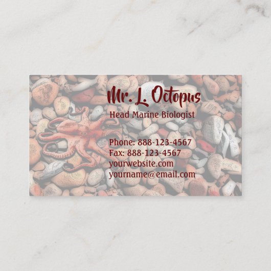Octopus Pebbles Visitekaartje (Achterkant)